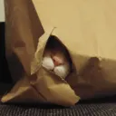 KebabZB