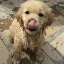dopyyyx