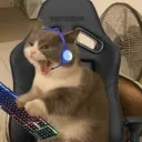 satysek