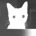 jsempepega