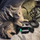 Tadaa