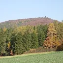Pteroxik7