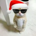 santa_fanta
