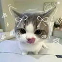 RYOO