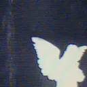 xZahry01