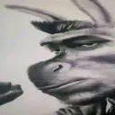 Zidd