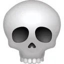 Z1R_