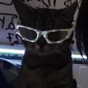 .........kjk