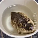 ivetajegay13
