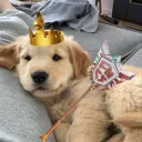 Suzi_Jr
