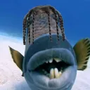 cufinek