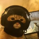 xanyseqq
