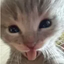 Jolyy
