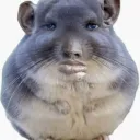 TikTok_Itz_S1monx