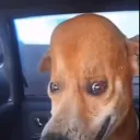 tomikkkkk