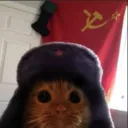 Foxykuj