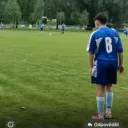vydramartinvydra