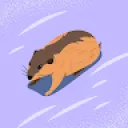 Pitboy