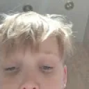 vojtavolf
