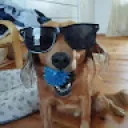 timbuchanan