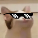 hadrikk