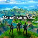 FL1X_CZ