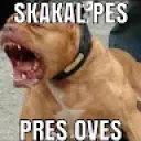 maximpavlík