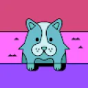 jiricekkq