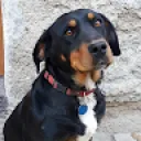 lukykrejčí