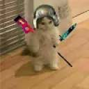 Topii