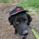 superstarstu2