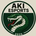 AKI|Esports