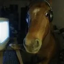 Jak osratec?