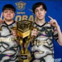 peterbot X pollo