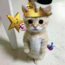 😈Owners berrycup😈