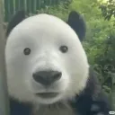 TSKO