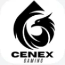 Cenex Academy