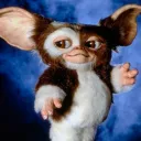 fandys missnul smoke