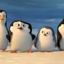 Penguins of Madagascar