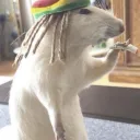 los ciganos