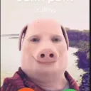 Polo a Petbot