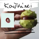 Kaštánci