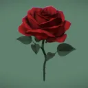 Rose team