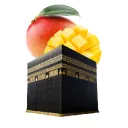 Strážci Mango Káby