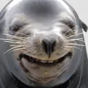 Maďar a Čech