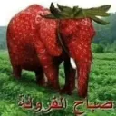Smradi