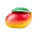 Team Mangos