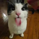 TUX Esports