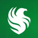 FALCONS Academy