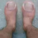 Negři